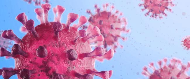 Estudo aponta que pico de casos de Covid-19 já aconteceu em Apodi