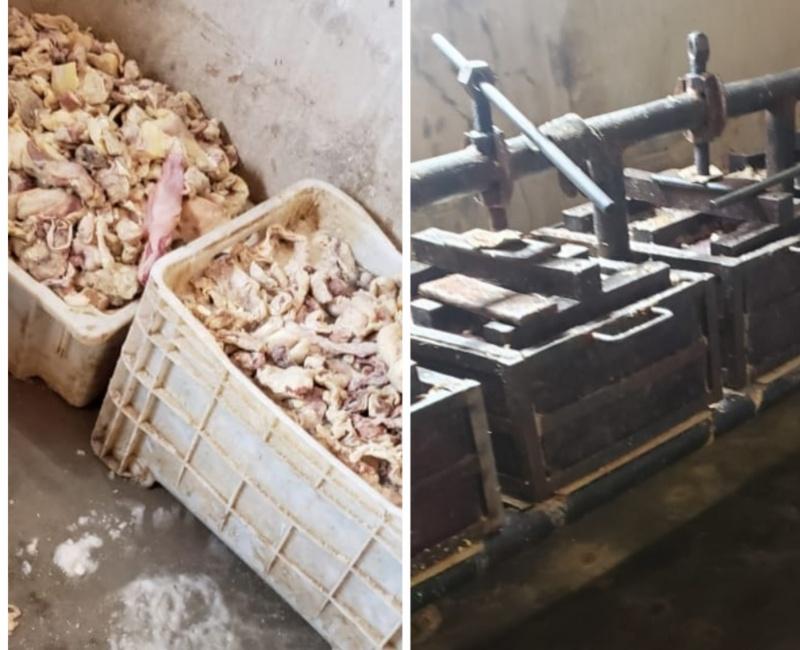 Serviço de Inspeção Municipal apreende em Mossoró 740 quilos de carne de charque impróprias para consumo