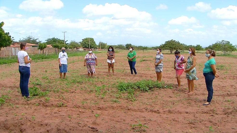 Mulheres de comunidade rural se unem para plantar e produzir em quintal coletivo no RN