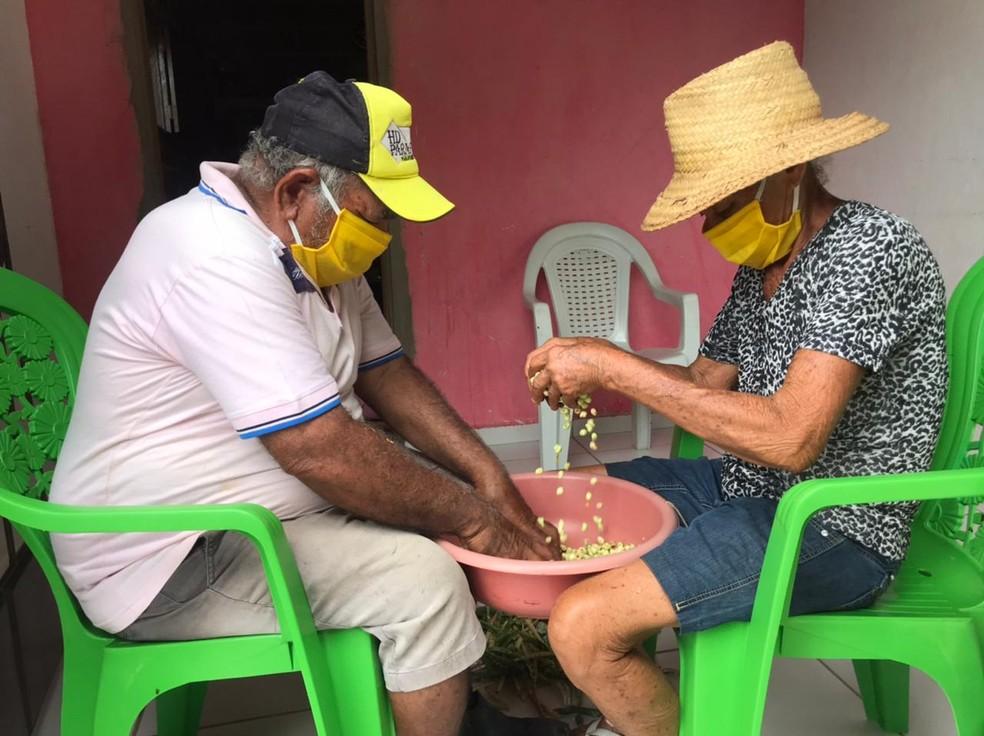 Agricultores comemoram colheita do feijão verde após chuvas irregulares na Região Oeste do RN