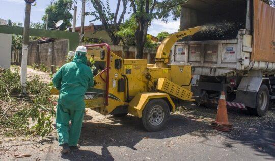 Prefeitura avalia risco de quedas de árvores em Natal durante época de chuvas