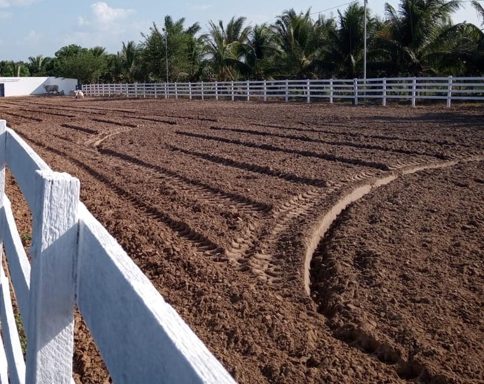 Governo publica portaria que libera realização de vaquejadas no RN