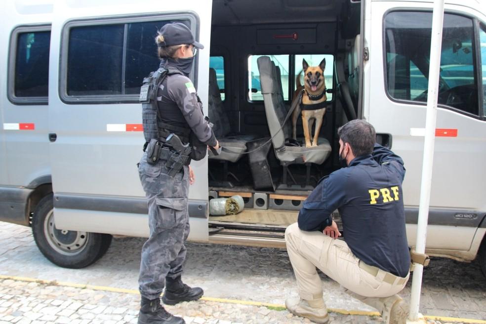 Homem é preso com 50 kg de maconha na BR-304, na Grande Natal