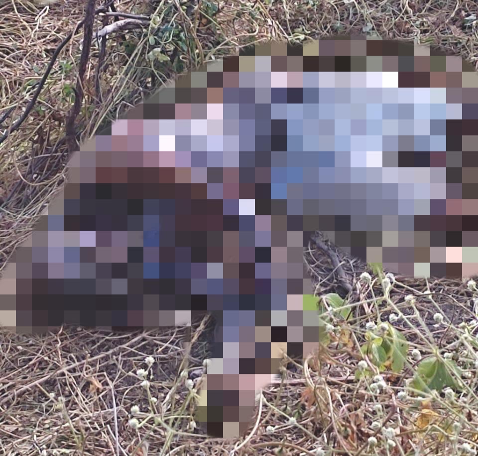 Ossada foi encontrada na zona rural de Caraúbas, região oeste do Estado