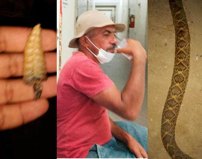 Agricultor picado por cobra na zona rural de Baraúna, morre no Hospital Tarcísio Maia em Mossoró