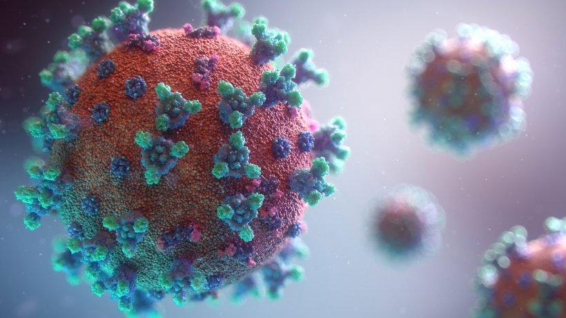 Cidade de Apodi não tem contaminados da Covid-19 nas últimas 24 horas