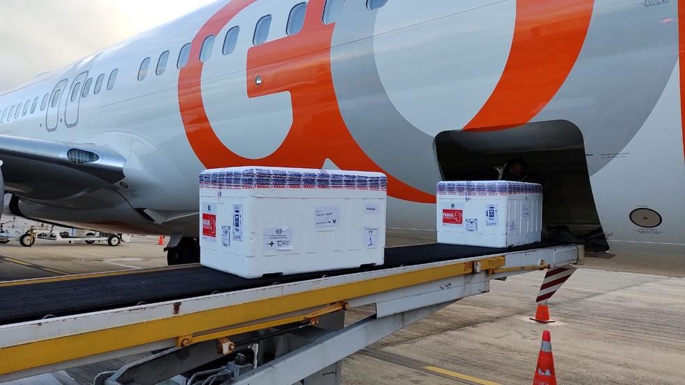 Mais 35 mil vacinas contra Covid chegam e RN atinge marca de 3 milhões de doses recebidas