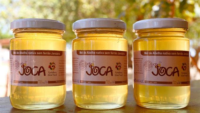 Publicado lei que regulamenta produção de mel de jandaíra no RN