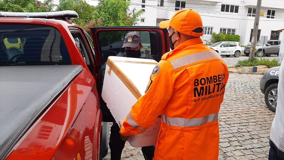 Secretaria de Saúde distribui 62 mil vacinas contra a Covid a municípios do RN