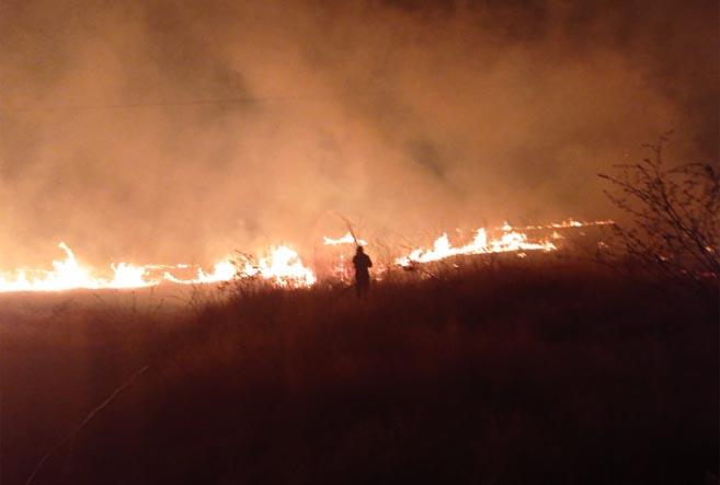 Bombeiros do RN registram cerca de 13 denúncias diárias de incêndios florestais