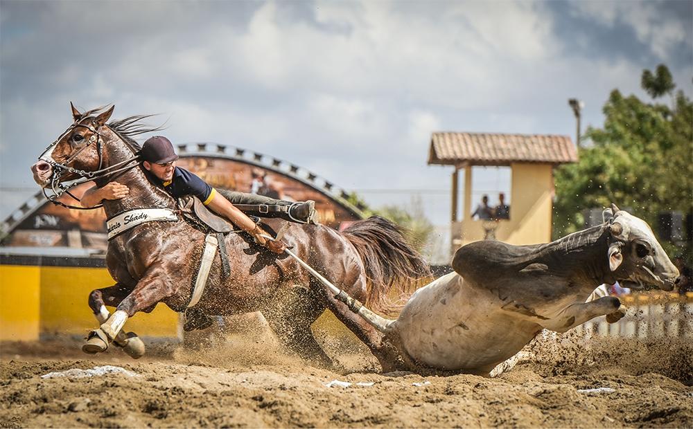 1º bolão de vaquejada do Parque Manoel Germano acontece neste Sábado(16) em Felipe Guerra