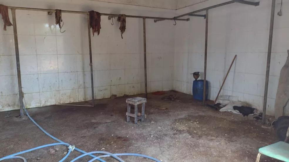 Fiscalização fecha abatedouro clandestino na Zona Norte de Natal