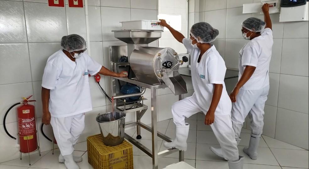 Grupo de agricultoras ganha fábrica para produção de polpas de frutas em Mossoró
