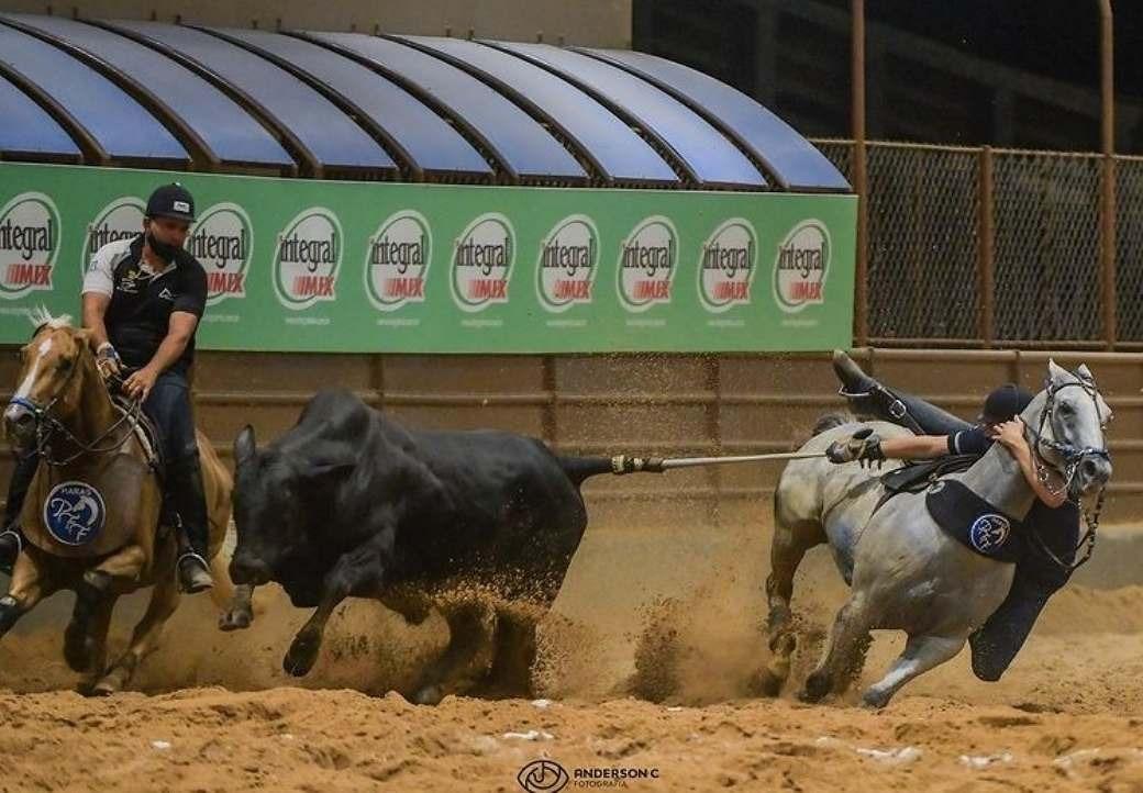 Mini Vaquejada dos Amigos acontece nos dias 20 e 21 de Novembro em Apodi