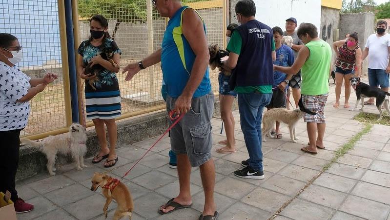 Mossoró contará com 22 pontos de vacinação antirrábica nesta sexta (22)