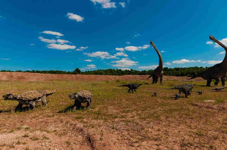 Pegadas de dinossauros são identificadas pela primeira vez no RN