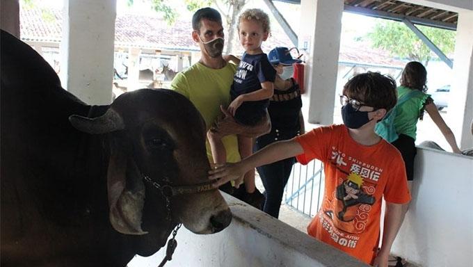 Anorc espera faturar R$ 50 milhões na retomada da festa do Boi de Parnamirim