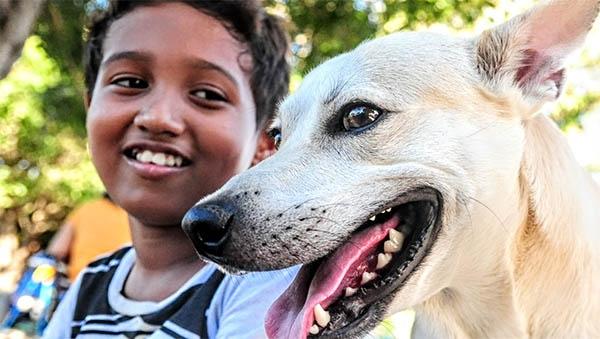 Dia “D” da vacinação antirrábica acontece neste sábado (13) em Mossoró