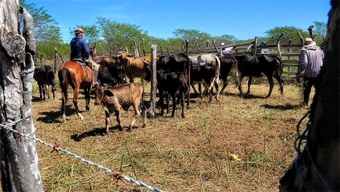 Encontro de produtores rurais de Mossoró acontece no próximo dia 20
