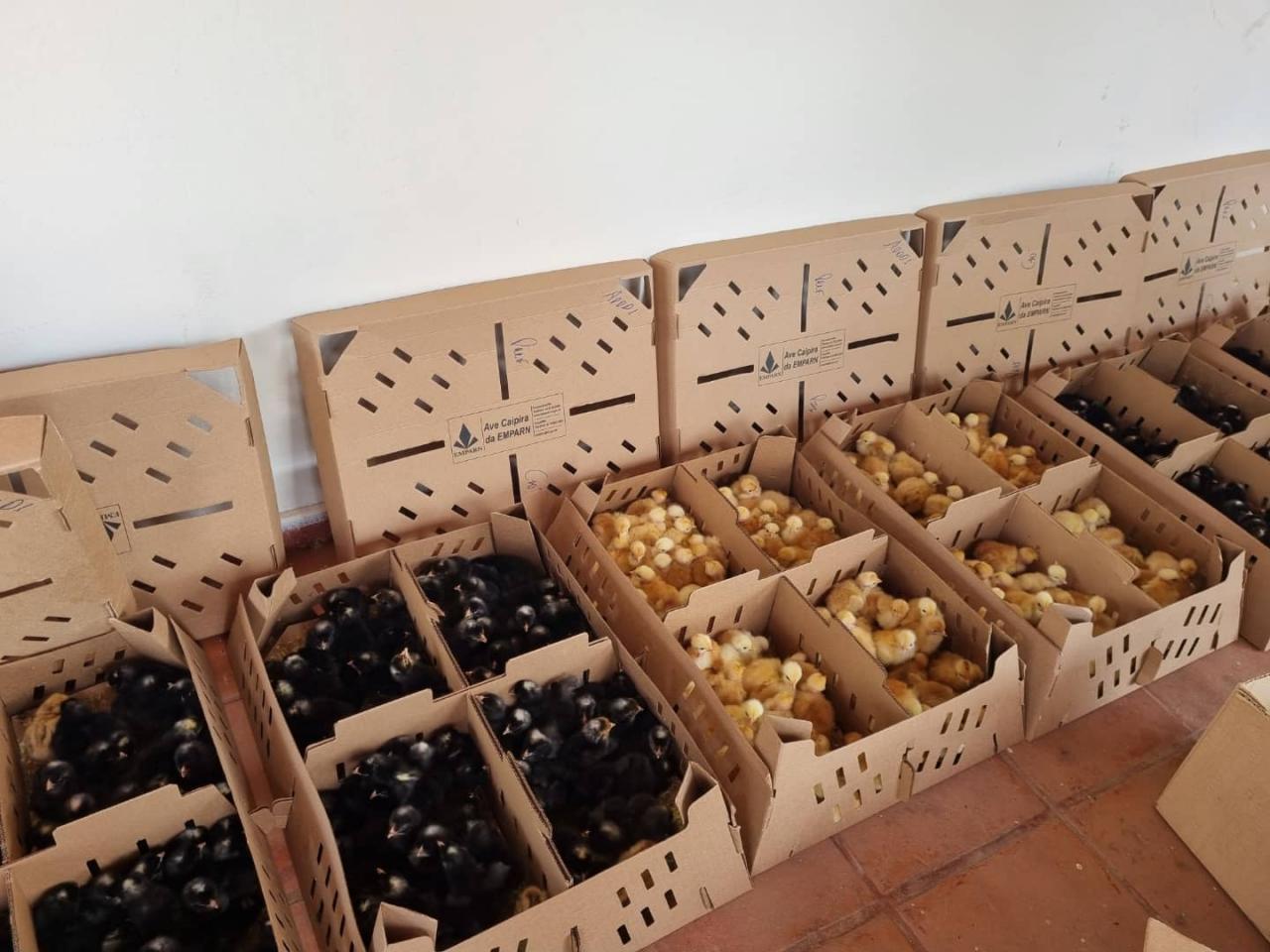 Prefeitura de Apodi faz entrega do programa 