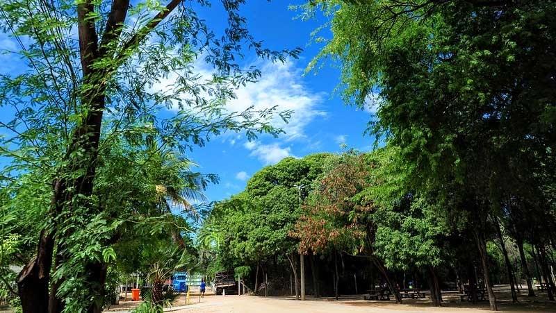 Prefeitura de Mossoró abre inscrições para eleição de conselheiros do CONDEMA