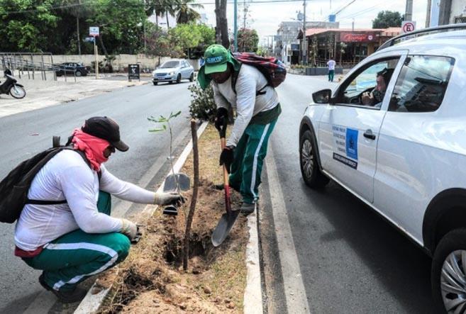 Programa “Mossoró Verde” realiza ações de plantio e oficinas formativas