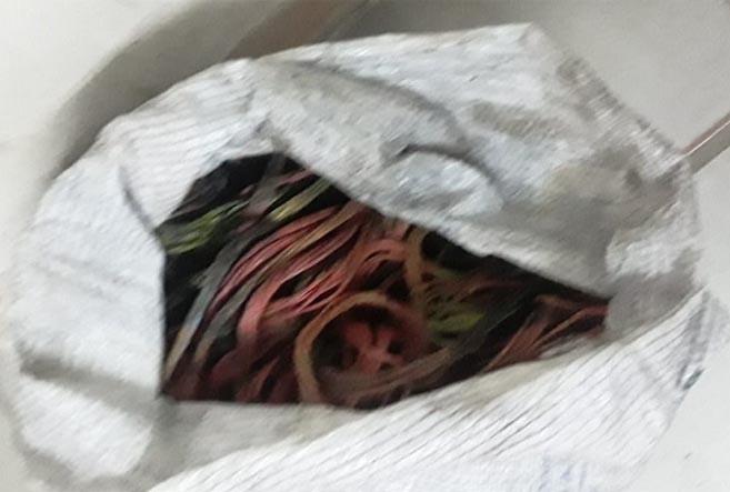 Rio Grande do Norte tem registrado frequentes casos de roubos e furtos de fios