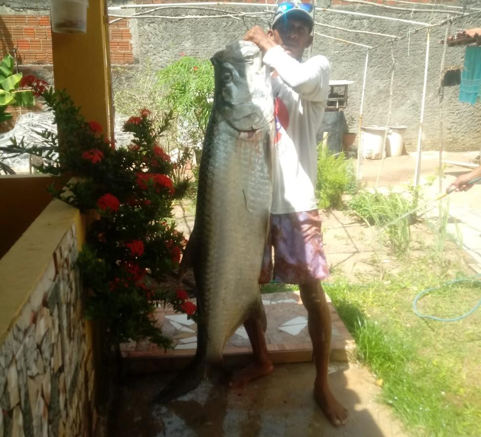 Depois de capturar peixe de 100 quilos, pescador pega outro de 50 da mesma espécie no RN