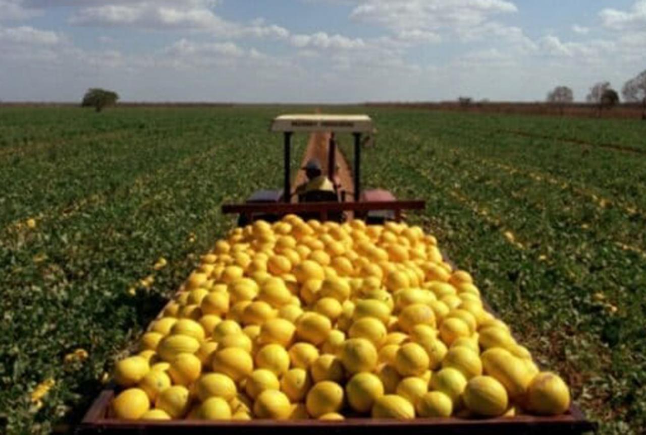 Exportações do RN crescem mais de 100% em janeiro, aponta FIERN