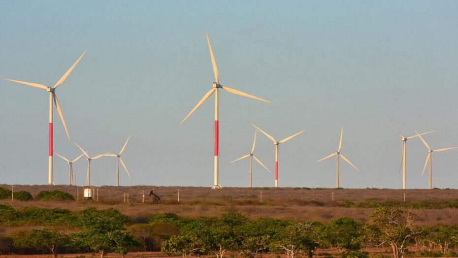 Assembleia chama atenção para energia renovável como fonte de renda para o RN