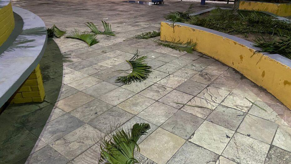 Homem é preso após destruir plantas em praça na Grande Natal