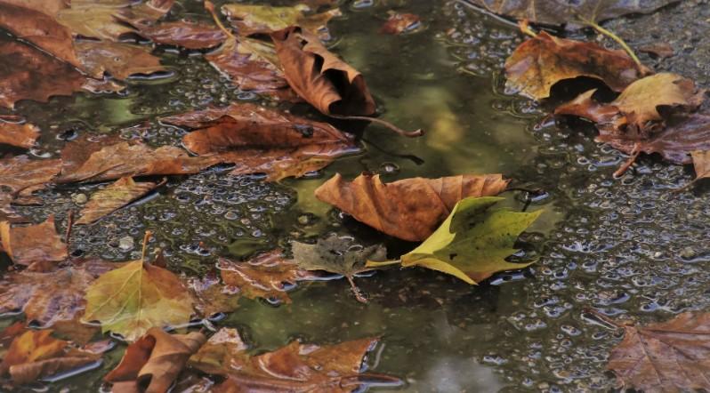 Outono começa com chuva forte e La Niña; confira a previsão do tempo no RN