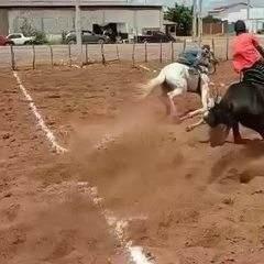 Homem é arremessado de cavalo durante vaquejada e fratura o rosto no RN