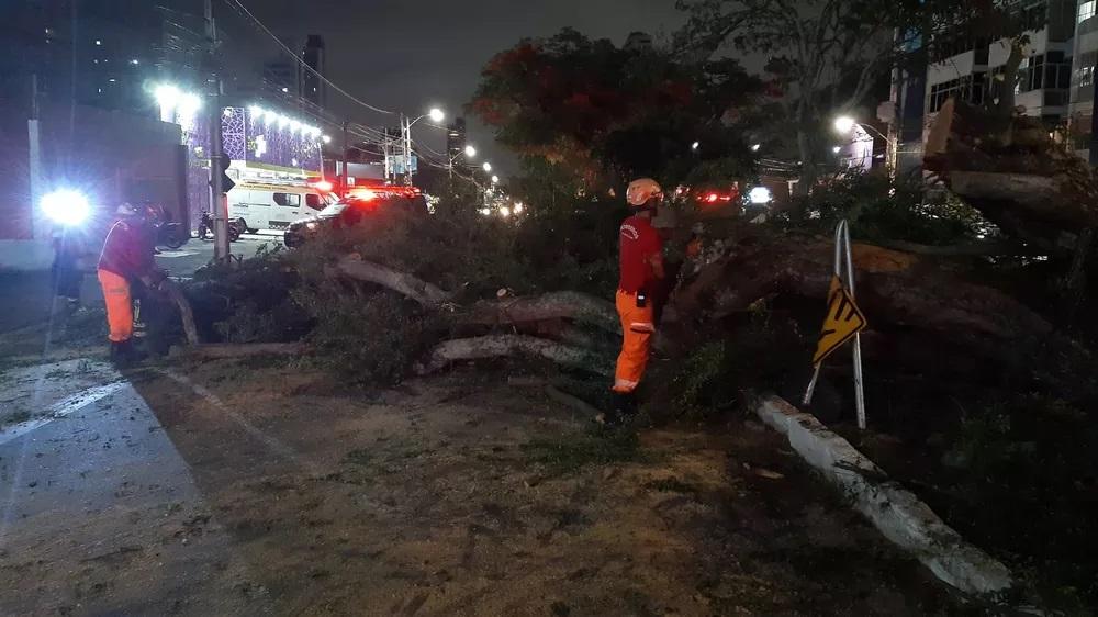 Árvore cai sobre motociclista em avenida de Natal; homem é socorrido em estado grave