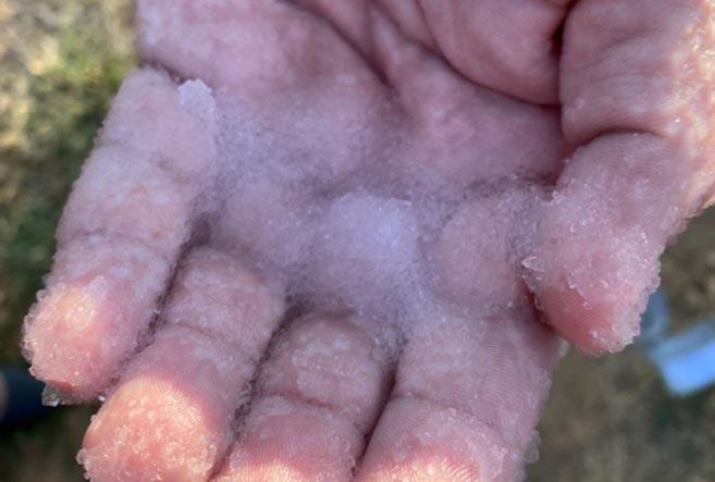 Cultivo com hidrogel atinge 1,4 mil hectares no Rio Grande do Norte