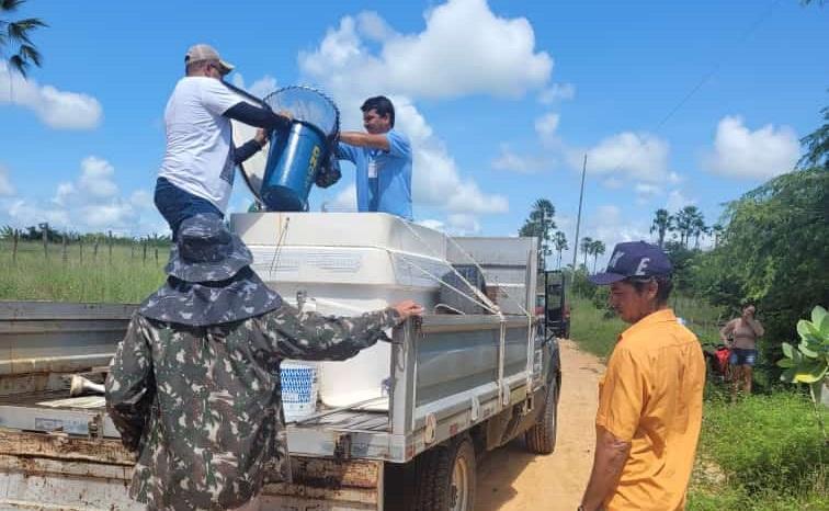 DNOCS faz distribuição de peixes na Lagoa do Apodi nesta Sexta (20)