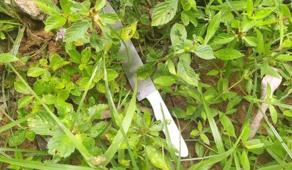 Ex-namorado preso confessa que premeditou assassinato de jovem trans em Natal; vídeo mostra crime