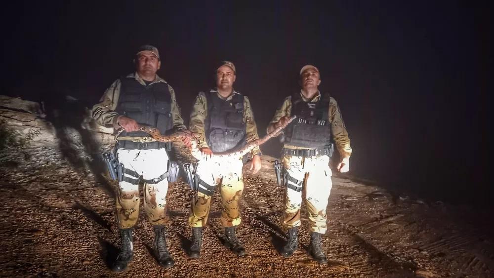Jiboia de 1,5 metro é resgatada pela Polícia Militar em quintal de casa no interior do RN