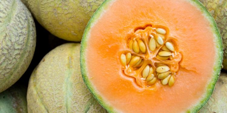 Mossoró é a cidade que mais produz melão no Brasil