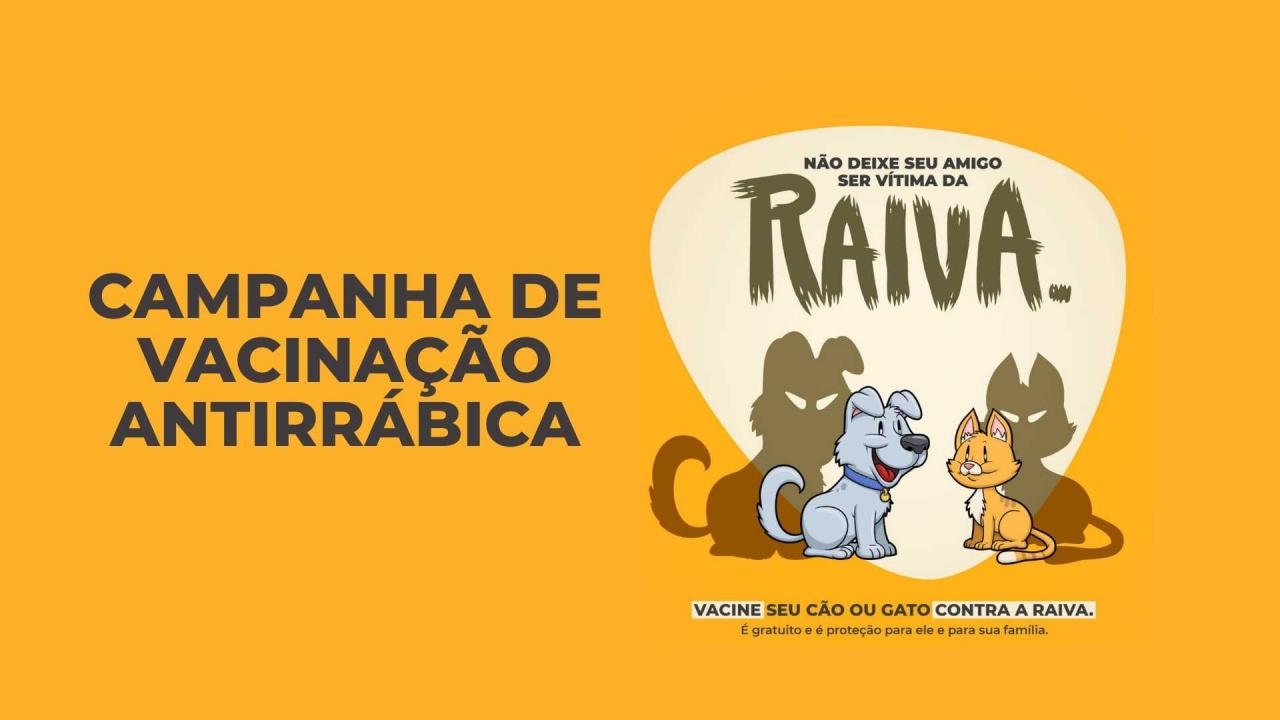 Sesap realiza reunião para organizar Campanha de Vacinação Antirrábica 2022