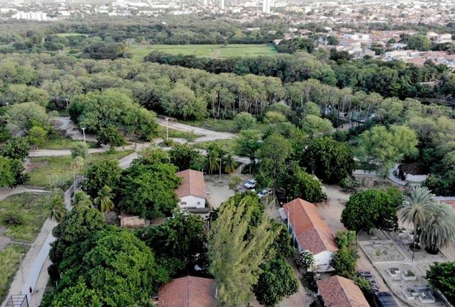 Uern inicia inventário arbóreo do Parque Municipal de Mossoró