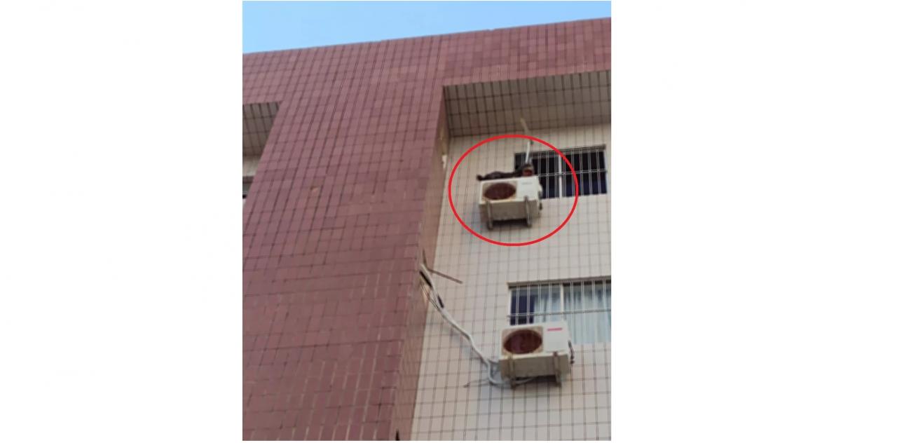 Com medo de fogos de artifício, cão foge pela janela e vai parar sobre caixa de ar condicionado no 5º andar de prédio em Natal