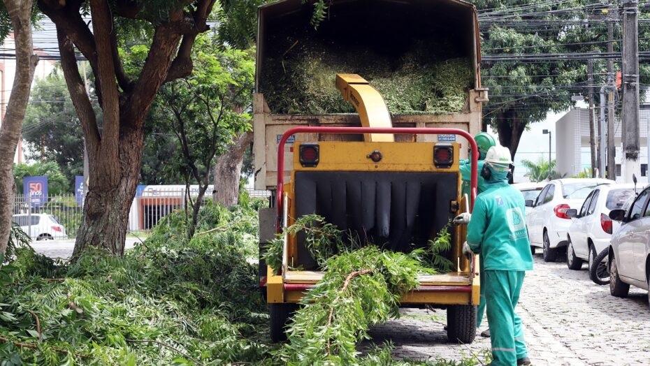 Reaproveitamento de podas gera sustentabilidade e economia em paisagismo de Natal
