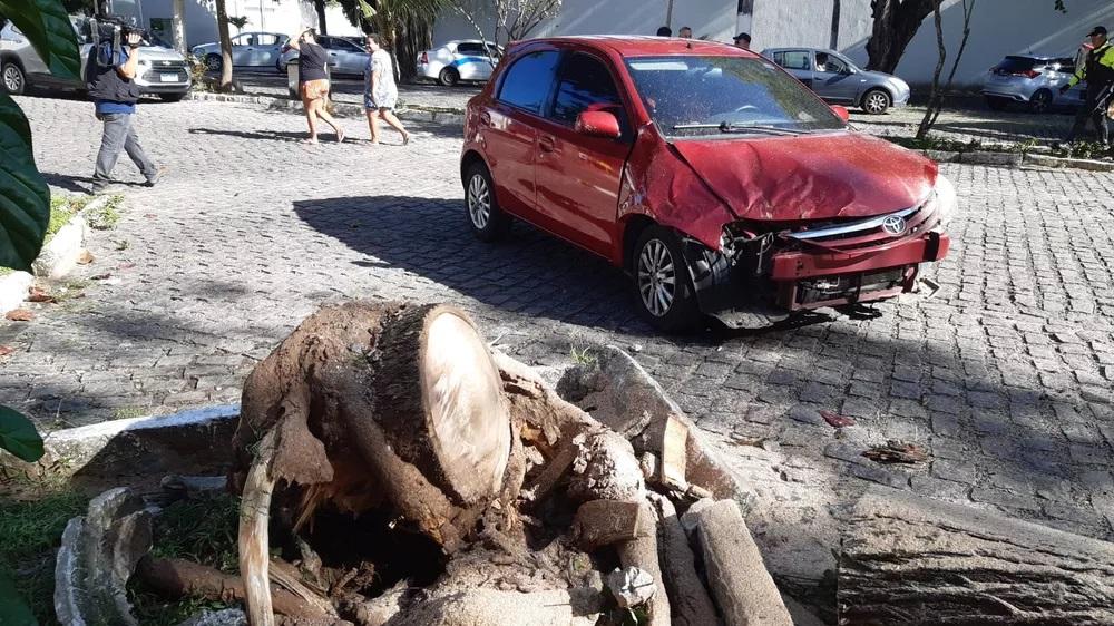 Árvore cai e atinge dois carros na Zona Leste de Natal-RN