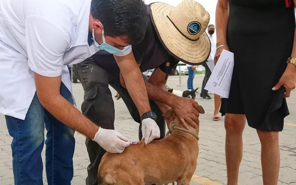 Natal terá vacinação antirrábica neste sábado (23) em Mãe Luiza e Pitimbu