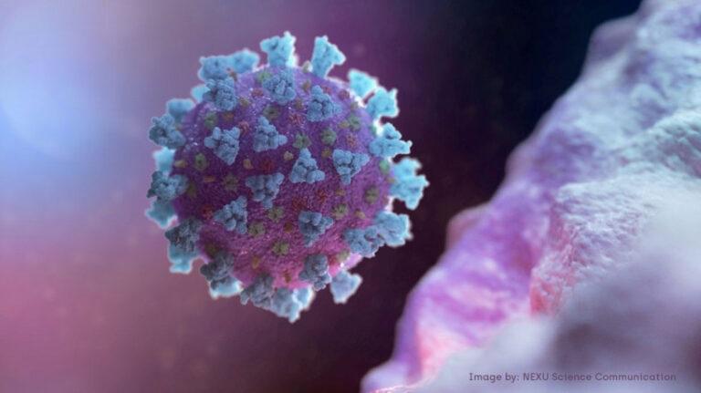 RN registra 3 óbitos e 318 novos casos de Covid nas últimas 24h