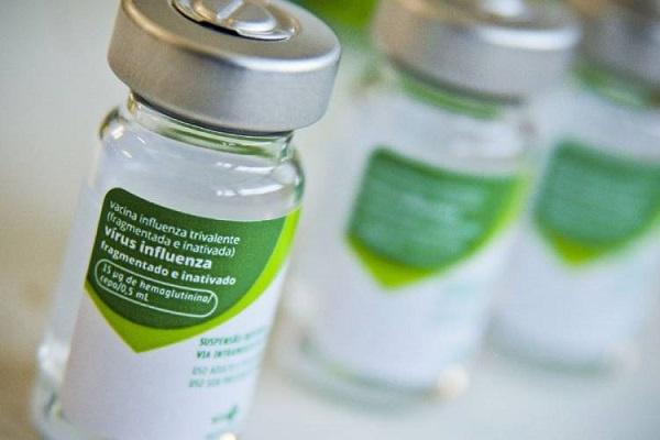 Butantan estuda desenvolvimento de vacina contra gripe aviária H5N1