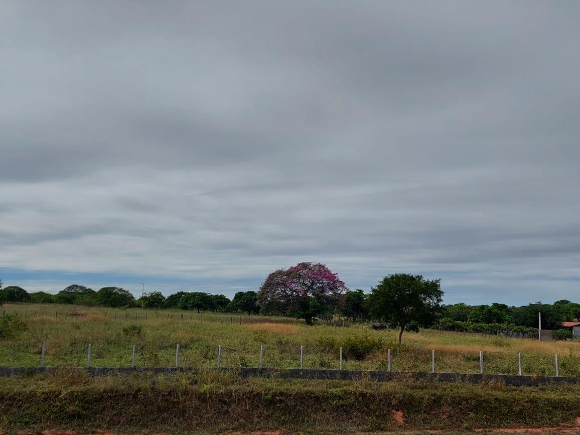 Chuvas amenas são registrada nesta Quinta(16) em Apodi
