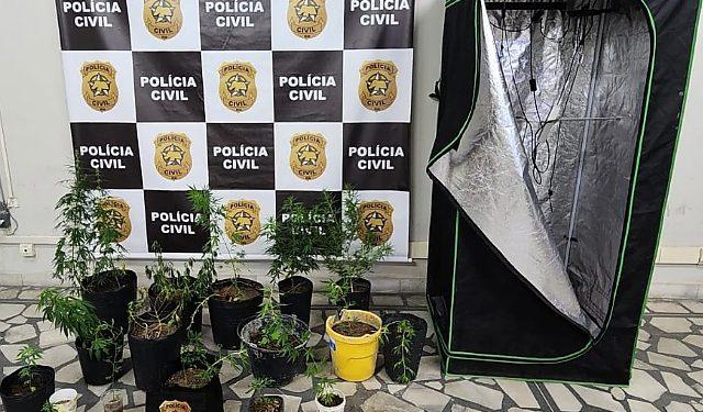 Homem é preso cultivando maconha dentro de casa em Mossoró
