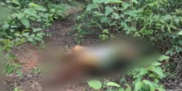 Corpo de mulher é encontrado em decomposição em Serra do Mel